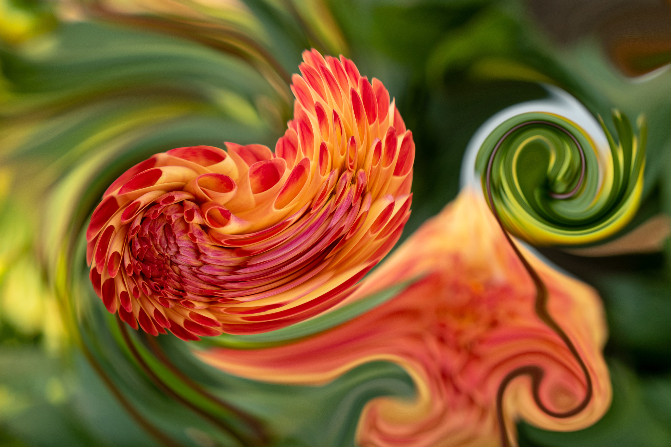 Barely a spiral