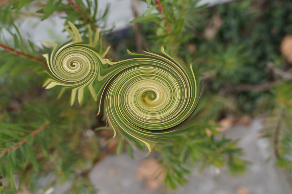 tandem spirals