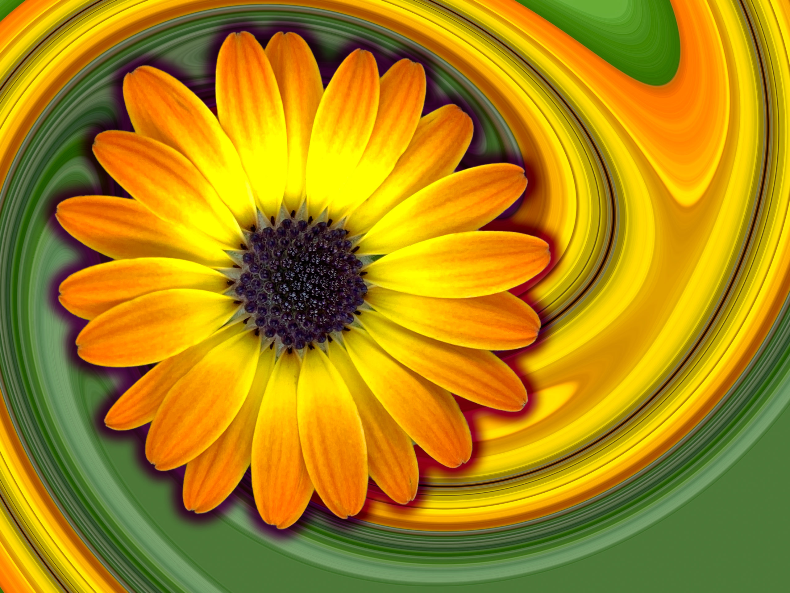 floral spiral