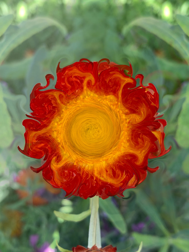 Fiery Flower